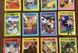 マジックツリーハウス 探検ガイド 40冊 まとめて セット売り 学習 マジック・ツリーハウス 探険ガイド 世界の海賊たち (マジック