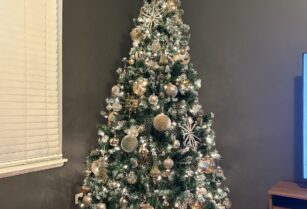 【取引中】クリスマスツリー（6フィート、ライト付）