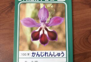 漢字練習帳　100字