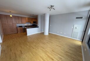 2 Bedroom 2 Bathroom (Chicago Downtown: Southloop)