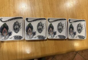 Morton Arboretumで買ったお皿