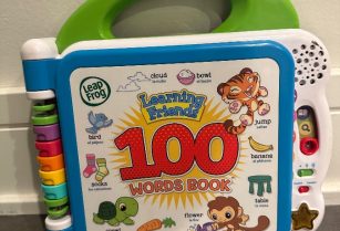 Learning Friends 100 Words Book
