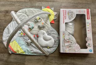 Skip Hop Baby Activity Play Gym