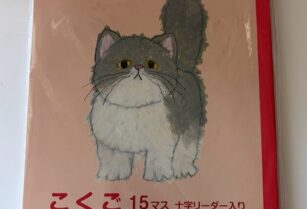 (ノート)こくご １５マス ３冊セット