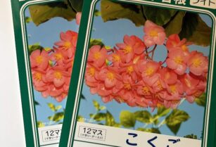 (ノート) こくご １２マス ２冊セット