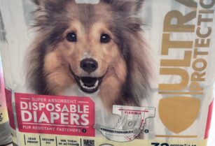 犬用　女の子用オムツ