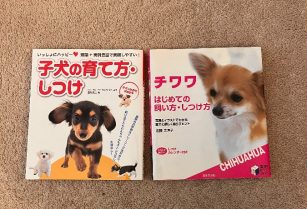 本・書籍　子犬の育て方＆チワワはじめて飼い方・しつけ方
