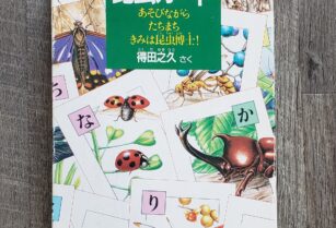 【取引中】昆虫かるた