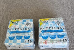ティッシュ10個セット　日本製