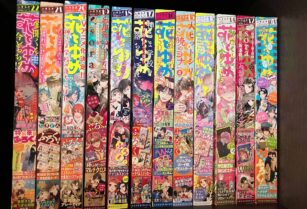 花とゆめ 12冊